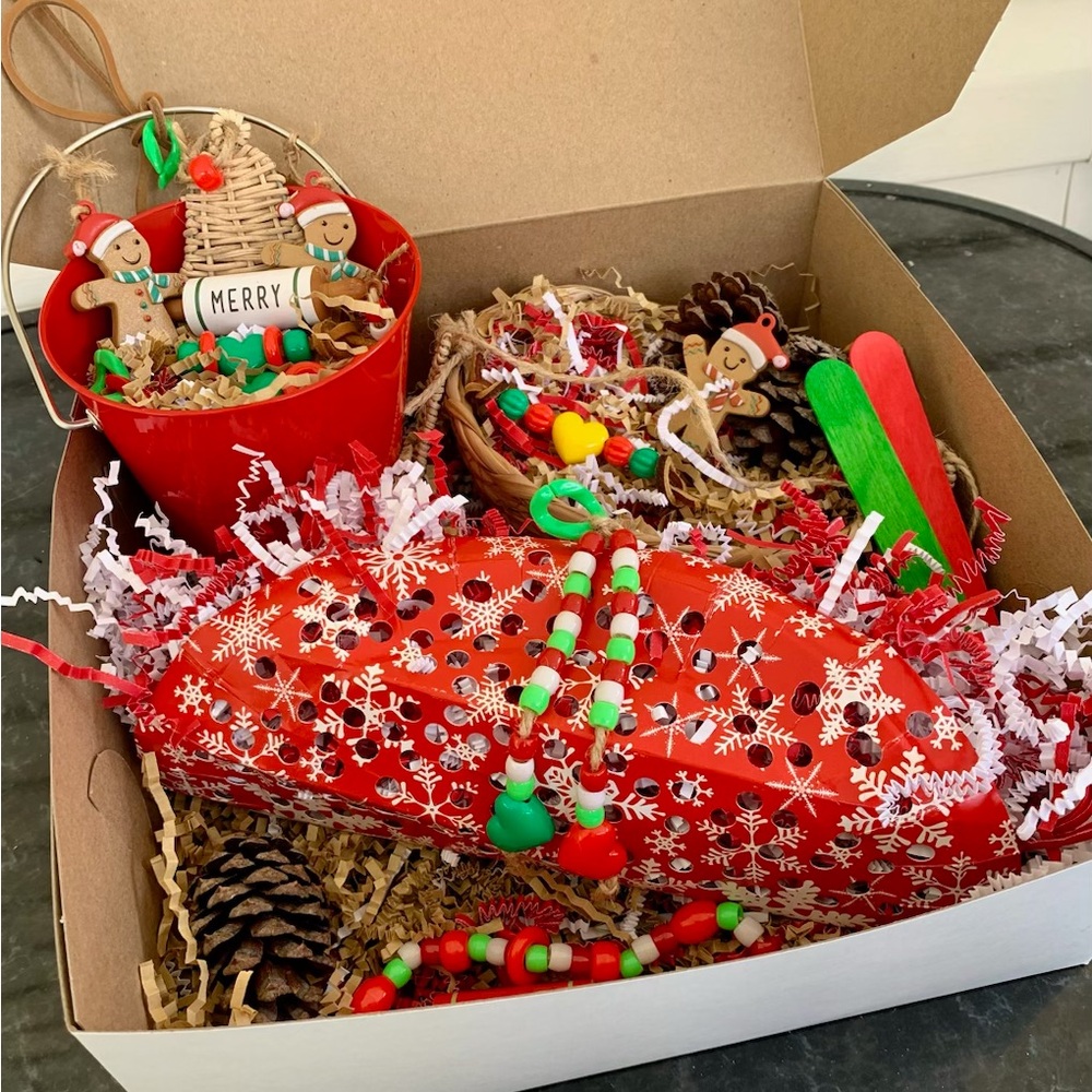 Ber box parrot toys❄️☃️